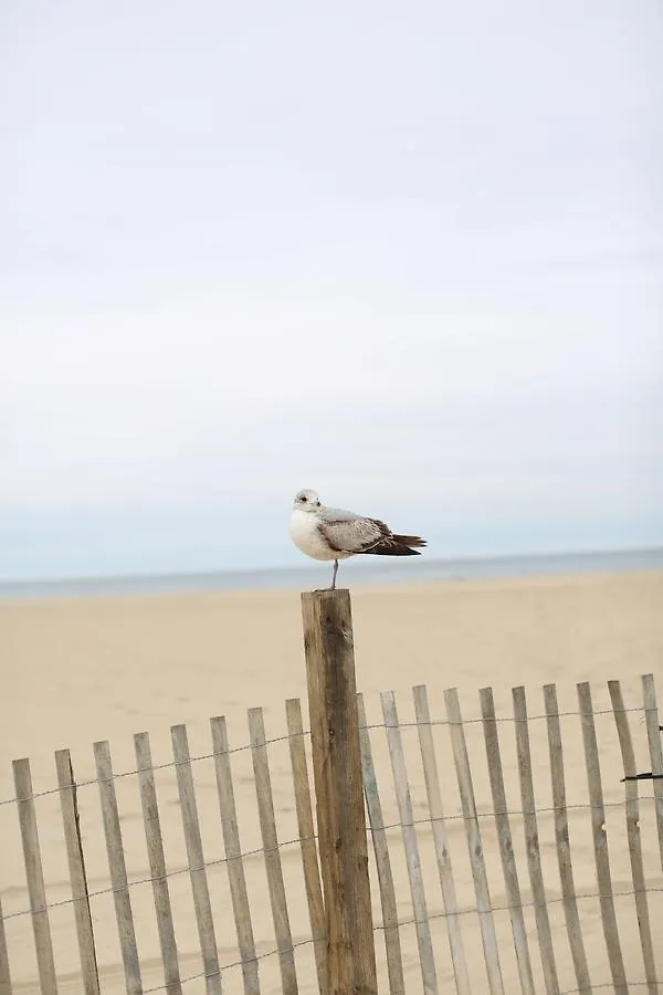 The Colony Apartments Ocean City